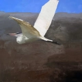 Egret in flight