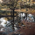Late Autumn Pond, Hampstead Heath