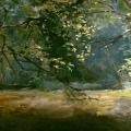 Sunlit Glade in Highgate Wood
