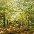 The Lime Avenue in Summer, Kenwood House