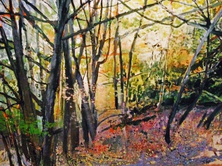 Woods Off the Beaten Track